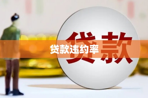 黄陂贷款违约率