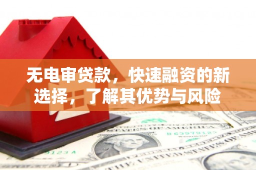 黄陂无电审贷款，快速融资的新选择，了解其优势与风险