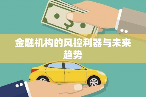 黄陂金融机构的风控利器与未来趋势