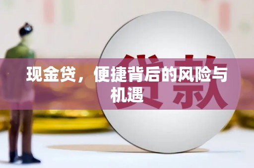 黄陂现金贷，便捷背后的风险与机遇