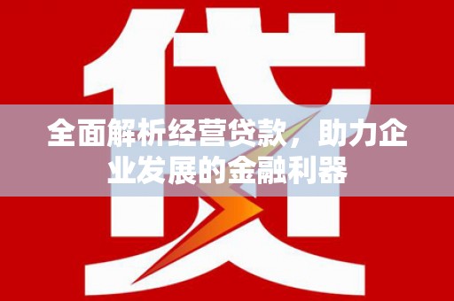 黄陂全面解析经营贷款，助力企业发展的金融利器
