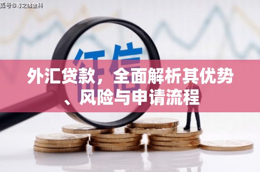 黄陂外汇贷款，全面解析其优势、风险与申请流程
