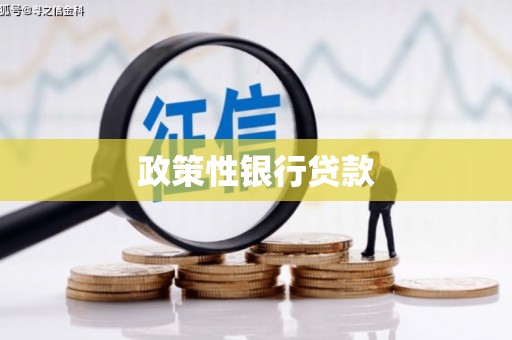 黄陂政策性银行贷款
