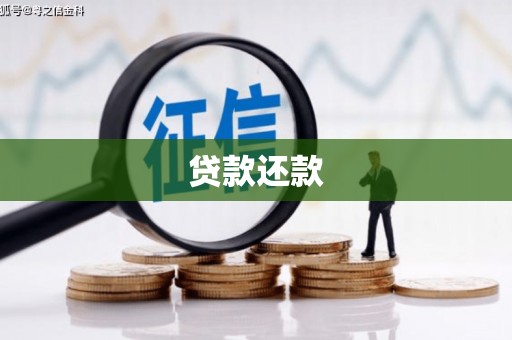 黄陂贷款还款