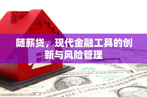 黄陂随薪贷，现代金融工具的创新与风险管理