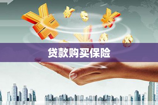 黄陂贷款购买保险
