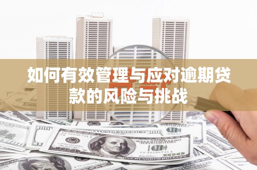 黄陂如何有效管理与应对逾期贷款的风险与挑战