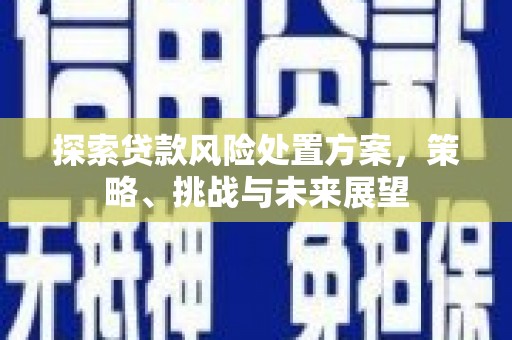 黄陂探索贷款风险处置方案，策略、挑战与未来展望