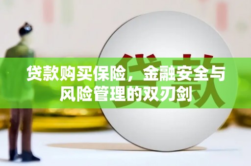 黄陂贷款购买保险，金融安全与风险管理的双刃剑