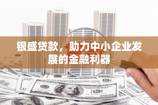 黄陂银盛贷款，助力中小企业发展的金融利器