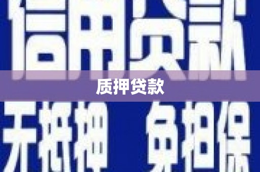 黄陂质押贷款