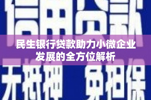 黄陂民生银行贷款助力小微企业发展的全方位解析