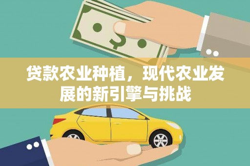 黄陂贷款农业种植，现代农业发展的新引擎与挑战