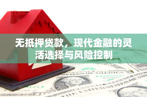 黄陂无抵押贷款，现代金融的灵活选择与风险控制