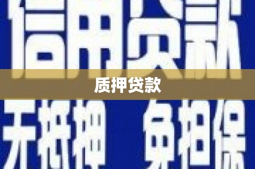 黄陂质押贷款