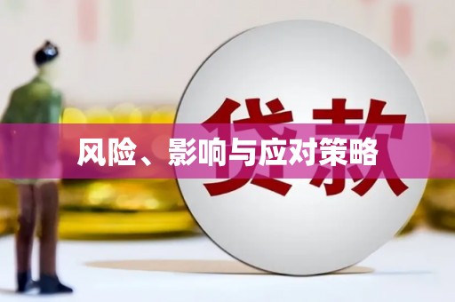 黄陂风险、影响与应对策略