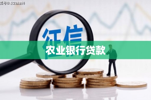 黄陂农业银行贷款