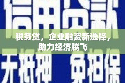 黄陂税务贷，企业融资新选择，助力经济腾飞