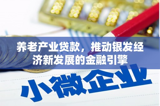 黄陂养老产业贷款，推动银发经济新发展的金融引擎