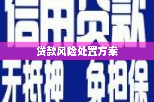 黄陂贷款风险处置方案