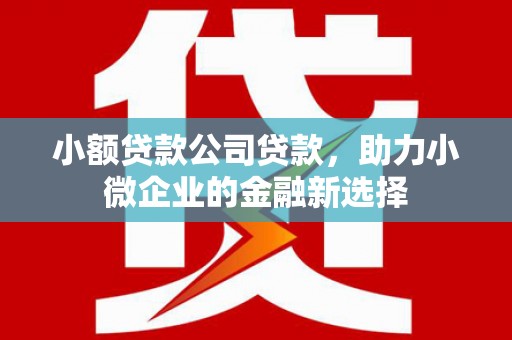 黄陂小额贷款公司贷款，助力小微企业的金融新选择