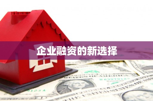 黄陂企业融资的新选择