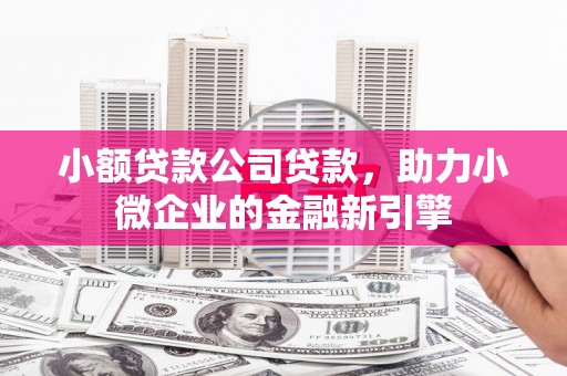 黄陂小额贷款公司贷款，助力小微企业的金融新引擎