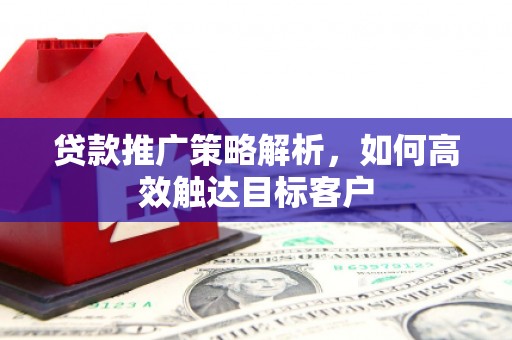 黄陂贷款推广策略解析，如何高效触达目标客户