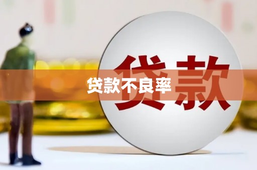 黄陂贷款不良率