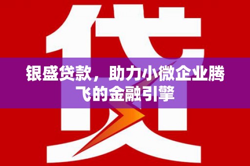 黄陂银盛贷款，助力小微企业腾飞的金融引擎