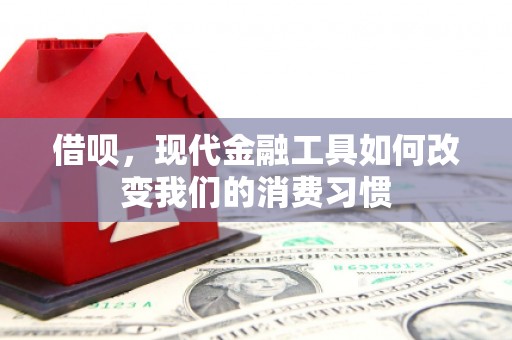黄陂借呗，现代金融工具如何改变我们的消费习惯