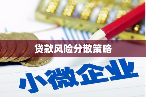 黄陂贷款风险分散策略