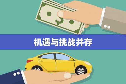 黄陂机遇与挑战并存