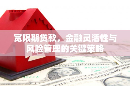 黄陂宽限期贷款，金融灵活性与风险管理的关键策略