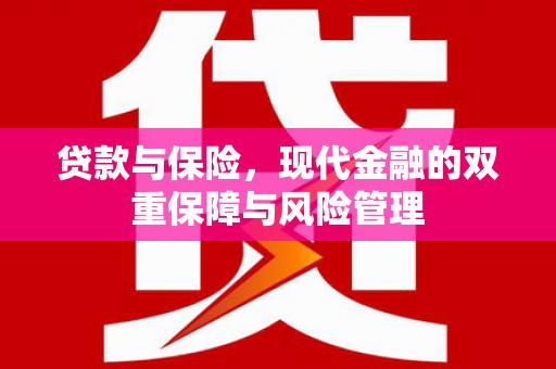黄陂贷款与保险，现代金融的双重保障与风险管理