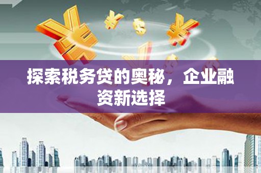 黄陂探索税务贷的奥秘，企业融资新选择