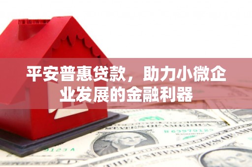 黄陂平安普惠贷款，助力小微企业发展的金融利器