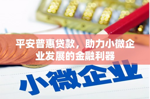 黄陂平安普惠贷款，助力小微企业发展的金融利器