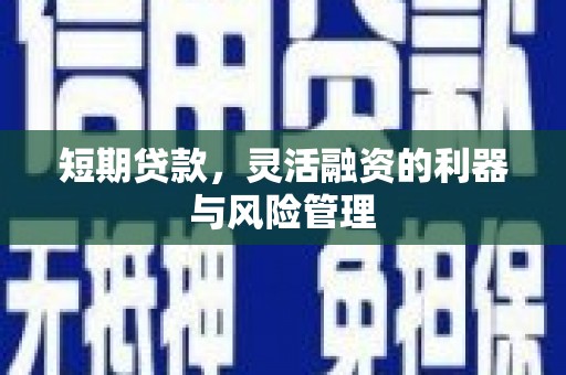 黄陂短期贷款，灵活融资的利器与风险管理