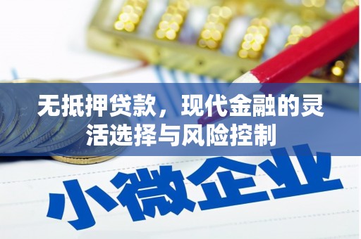 黄陂无抵押贷款，现代金融的灵活选择与风险控制