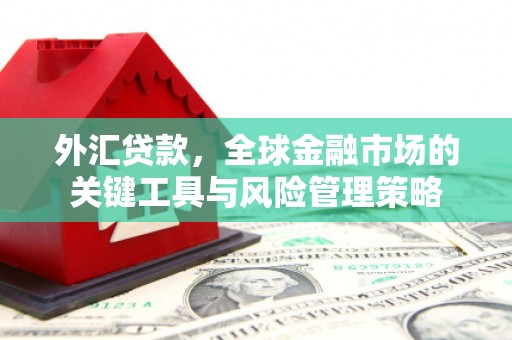 黄陂外汇贷款，全球金融市场的关键工具与风险管理策略
