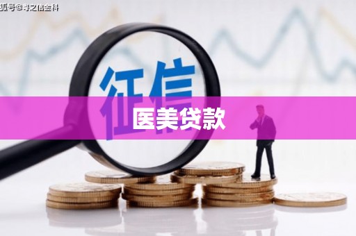 黄陂医美贷款