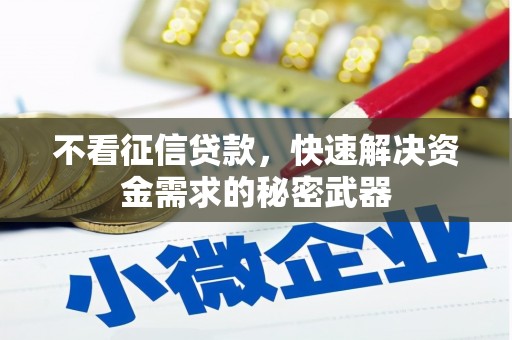 黄陂不看征信贷款，快速解决资金需求的秘密武器