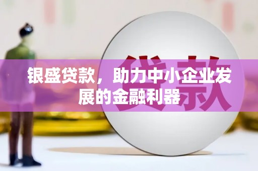 黄陂银盛贷款，助力中小企业发展的金融利器