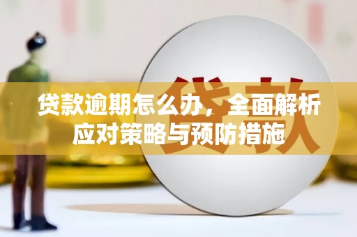 黄陂贷款逾期怎么办，全面解析应对策略与预防措施
