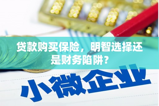 黄陂贷款购买保险，明智选择还是财务陷阱？