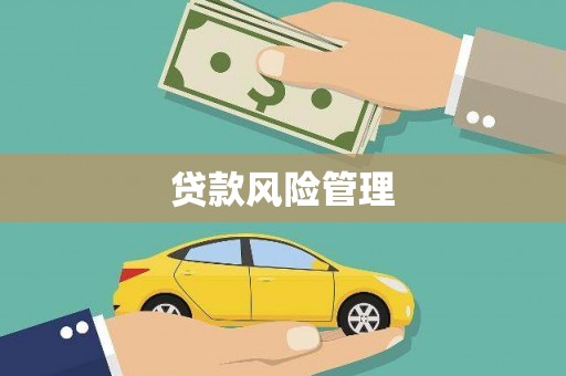 黄陂贷款风险管理