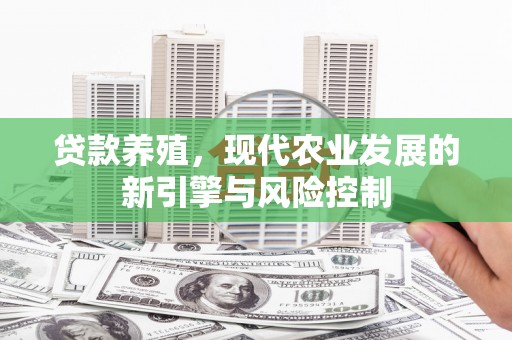 黄陂贷款养殖，现代农业发展的新引擎与风险控制