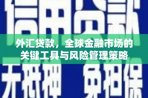 黄陂外汇贷款，全球金融市场的关键工具与风险管理策略