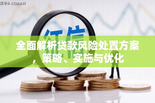 黄陂全面解析贷款风险处置方案，策略、实施与优化